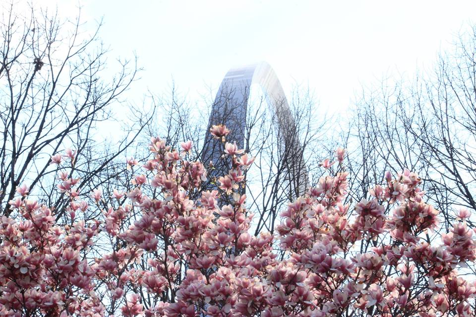 arch with blooming spring flowers