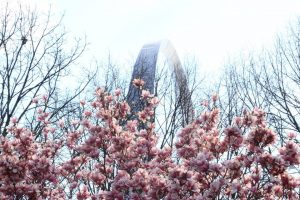 arch with blooming flowers