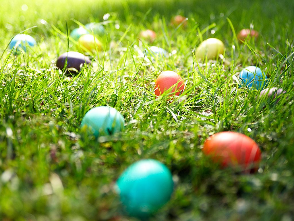 Easter Eggs in Grass
