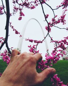 Arch with Blooming Spring Flowers