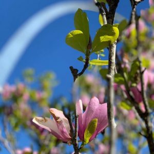 Arch with Spring Flowers Blooming