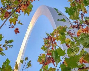 Fall leave at the Gateway Arch