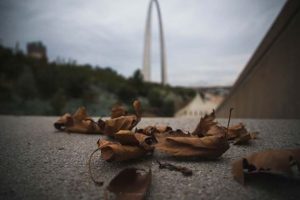 Fall leaves at the Arch on a dreary day