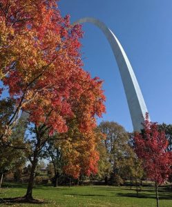 Fall leaves with Gateway Arch behind