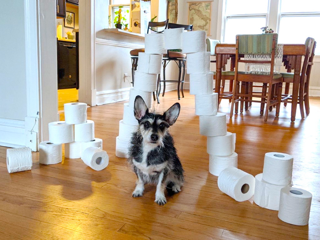 Toilet Paper Arch