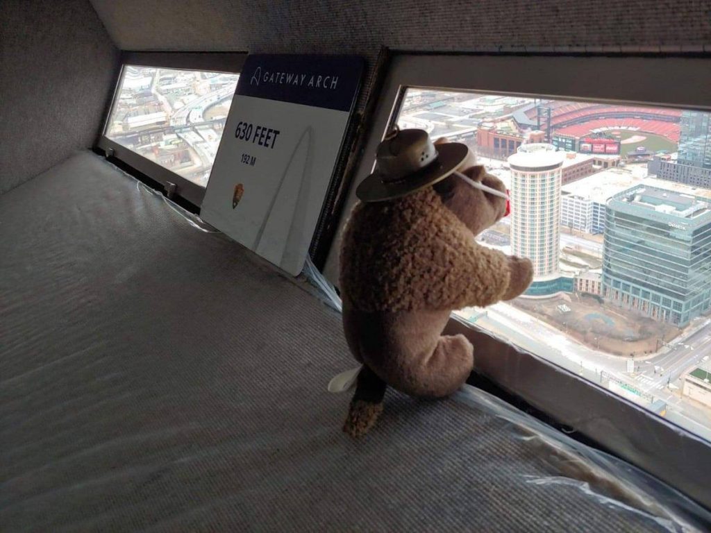 Buddy Bison stuffed animal looks out of the Arch observation deck windows.