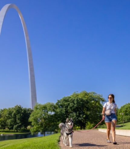 A young woman walking her dog on a paved bath near the reflection ponds in the summertime.