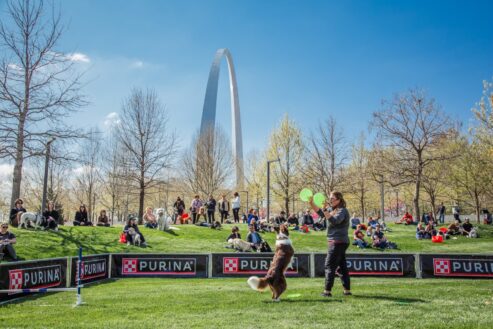 A dog agility performance takes place in front of a crowd of people on the Gateway Arch National Park grounds.