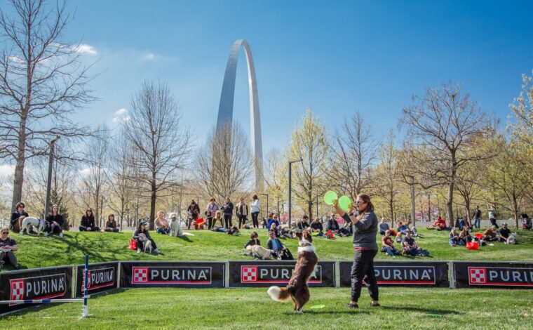 A dog agility performance takes place in front of a crowd of people on the Gateway Arch National Park grounds.